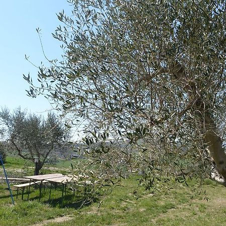 Agriturismo Il Merollo Hotell Todi Eksteriør bilde
